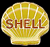 Shell Pin シェル ピンバッジ